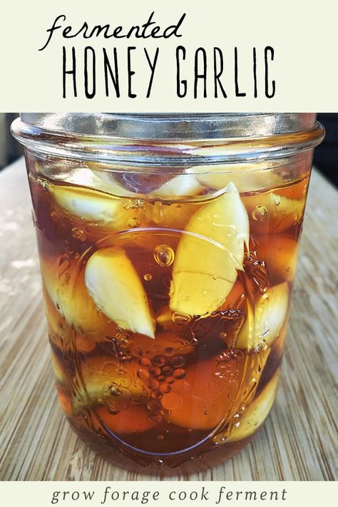 You won't believe how easy is it to make this immune boosting fermented honey garlic. It's the perfect first recipe for beginner herbalists. Both honey and garlic have strong medicinal properties, so you'll want to have this home remedy on hand for cold and flu season. Click through to get the recipe and learn all the amazing benefits of garlic fermented in honey. #honey #garlic #fermented #ferment #immuneboosting #immunity #homeremedy #homeremedies Fermented Honey Garlic, Fermented Garlic, Fermented Honey, Garlic Honey, Garlic Benefits, Fermentation Recipes, Garlic Recipes, Honey Recipes, Honey Garlic