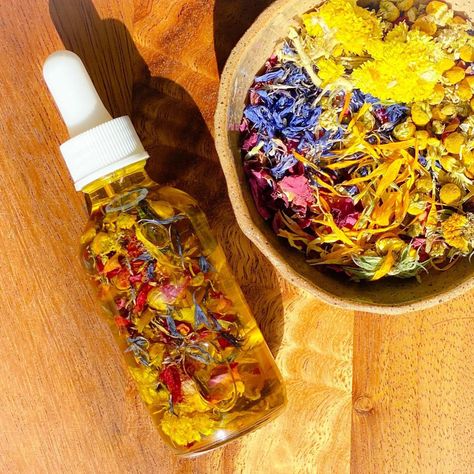 Flower Infused Body Oil, Infused Herbal Oils, Sweet Oil For Earaches, Facial Oil Recipe, Herbal Body Oil, Flower Infused Oil, Herbal Infused Oil, Infused Oil Recipes, Infused Body Oil