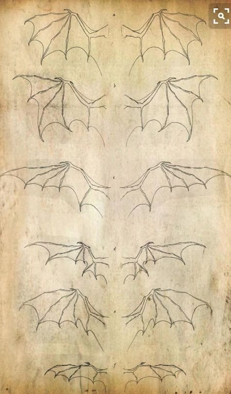 Dragon Anatomy, Wings Drawing, Dragon Sketch, Dragon Wings, Dragon Drawing, Dragon Art, Httyd, Creature Design, Drawing Techniques