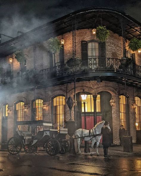 New Orleans Aesthetic, Southern Gothic Aesthetic, Interview With A Vampire, New Orleans Architecture, Vampire Series, New Orleans Homes, The French Quarter, Moving To Paris, Interview With The Vampire