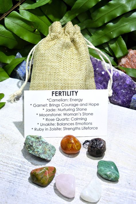 Fertility Stones, Benefits Of Fasting, Fertility Spells, How To Increase Fertility, Increase Fertility, Fertility Crystals, Crystal Seashells, Crystals Healing, Crystal Therapy