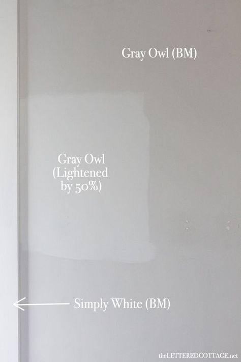 Top Neutral Paint Color - Benjamin Moore Gray Owl OC-52 - Resource Center - Spectrum Paint - Top Quality Paint & Coatings Solutions Fog Mist Benjamin Moore Master Bedrooms, Paint Color Lightened 50%, Grey Owl 50% Lighter, Bm Owl Gray, Grey Owl Paint Color, Gray Owl Lightened 50%, Benjamin Moore Gray Owl Bathroom, Gray Owl Benjamin Moore Cabinets, Gray Owl Benjamin Moore Bedroom