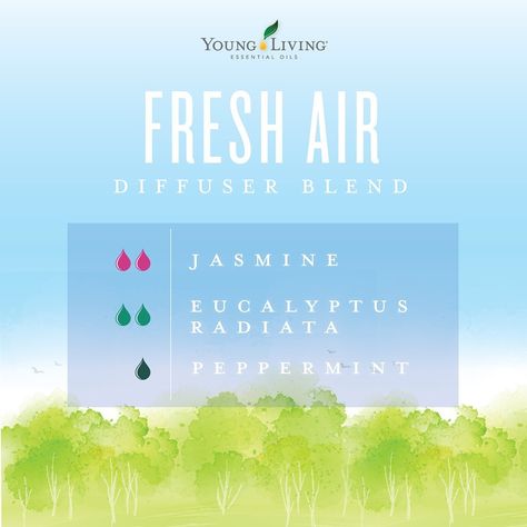 Young Living Education on Instagram: “Invigorate your senses with the refreshing aromas of Peppermint and Eucalyptus essential oils combined with the soothing scent of Jasmine!” Jasmine Essential Oil Blends, Jasmine Oil Blends, Diy Diffuser Blends, Diffuser Blends Young Living, Eclectic Witchcraft, Essential Oil Combinations, Air Diffuser, Essential Oil Diffuser Blends Recipes, Young Living Essential Oils Recipes