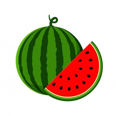 Watermelon Pictures, Watermelon Images, Week By Week Pregnancy, Watermelon Drawing, Ripe Watermelon, Watermelon Vector, Watermelon Cartoon, Watermelon Illustration, Pineapple Vector