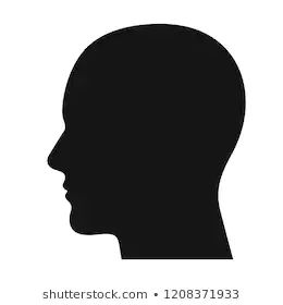 Human Head Images, Stock Photos & Vectors | Shutterstock Black Scene Hair, Portrait Illustrator, Silhouette Face, V Logo Design, Head Profile, Shadow Silhouette, Klimt Art, Face Profile, Couple Silhouette