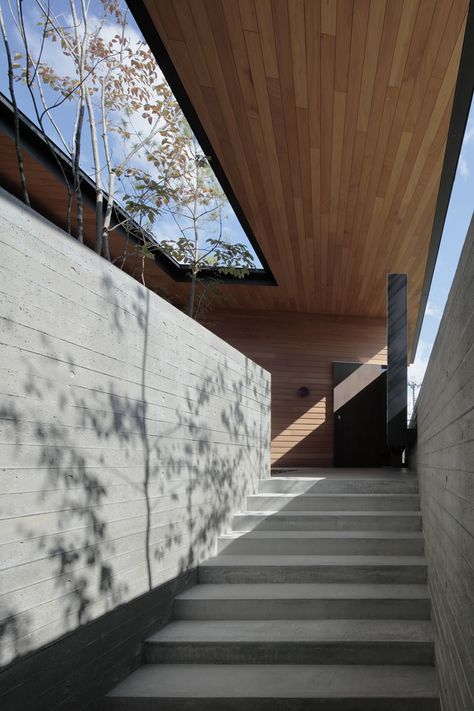 Modern Japanese Architecture Exterior, Japanese Architecture Exterior, Industrial House Design, Green Row, Modern Concrete House, Camphor Tree, Japanese Modern House, Modern Japanese Architecture, Australia House