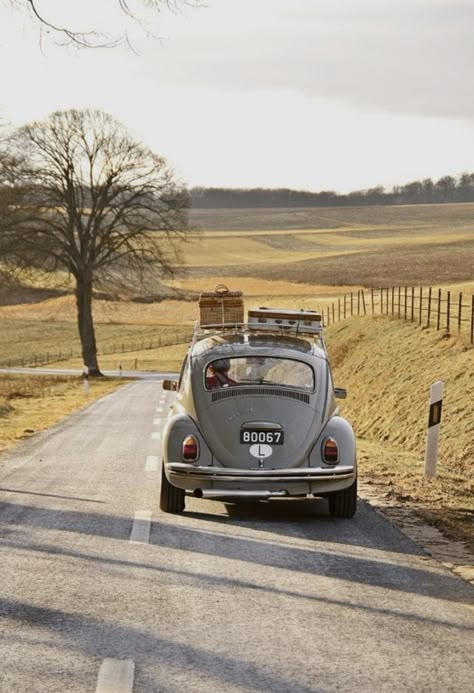 Classic Car Photography, Vw Vintage, 카드 디자인, Soyut Sanat Tabloları, Vw Bug, Music Design, Old Car, Vw Beetle, Car Photography