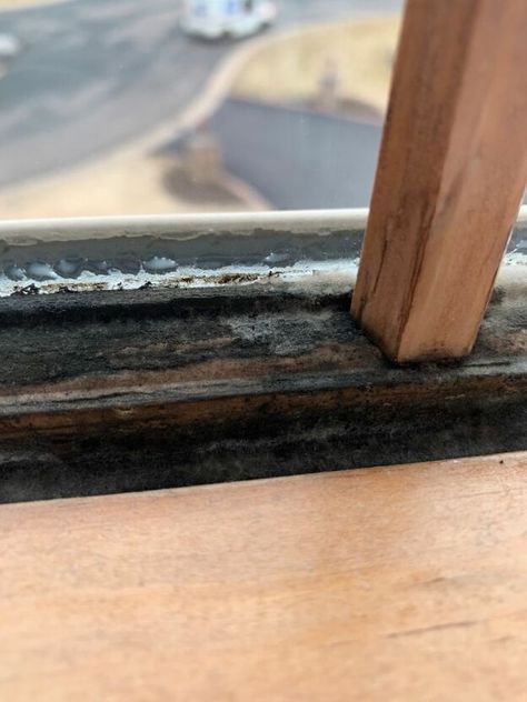 How To Get Rid Of Mold On Window Sills, Cleaning Black Mold From Windows, Best Way To Clean Window Sills, Mold On Window Sills, Repair Window Sill, Raw Wood Window Sill, Wooden Window Sill, Wood Window Trim, Wood Window Sill