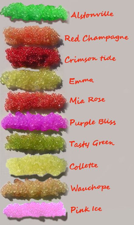 Finger Limes, Lime Pictures, Street Food Business, Lime Fruit, Finger Lime, Lime Recipes, Red Champagne, Mardi Gras Beads, Edible Landscaping