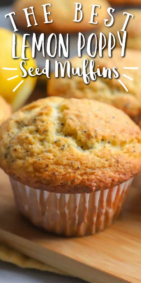 Poppy Seed Muffins Healthy, Lemon Poppyseed Muffins Easy, Lemon Poppy Muffins, Poppy Seed Muffin Recipe, Lemon Poppy Seed Muffins Recipe, Poppyseed Muffins, Lemon Poppy Seed Muffins, Jumbo Muffins, Seed Muffins