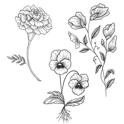 Pansy Tattoo Design, Marigold Outline, Pansy Tattoos, Pansy Flower Tattoo, Pansy Illustration, Pansy Drawing, Flower Tattoo Stencil, Lisa Tattoo, Sweet Pea Tattoo