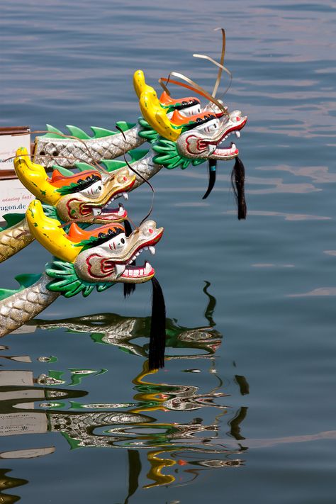 Dragon Boat Race  Chattanooga, TN   Photo by Judy Young Dragon Boating Racing, Boat Racing, Dragon Boat, Boat Race, Chattanooga Tn, Naha, Painting Class, Boating, Nashville