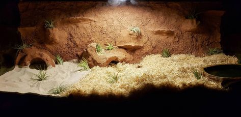 Sand Boa Enclosure, Boa Enclosure, Kenyan Sand Boa, Snake Enclosure, Enclosure Ideas, Reptile Terrarium, Reptile Enclosure, Hamster Cage, Ball Python