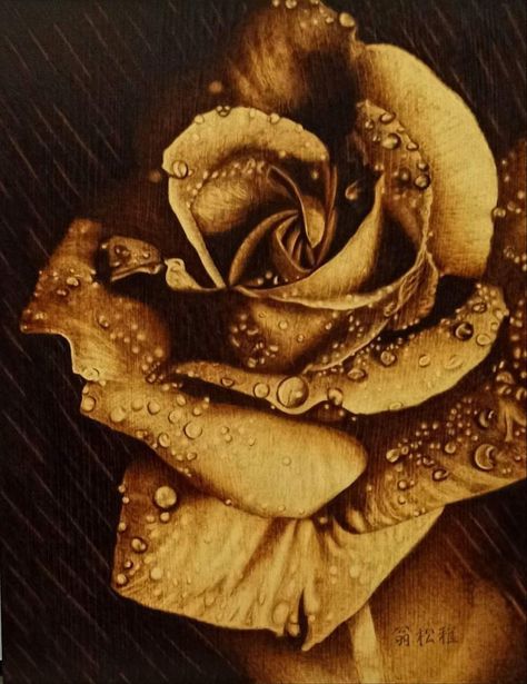 Pyrography Art Woodburning, Wood Staining Techniques, Pyrography Designs, Wood Burning Stencils, Rose Sketch, Beautiful Flower Drawings, Woodburning Projects, Pyrography Art, Coffee Painting