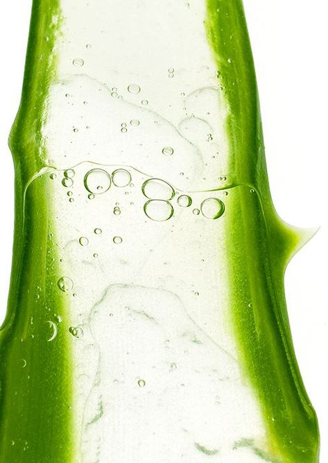 Aloe Vera Packaging, Ingredients Photography, Beauty Marketing, Texture Inspiration, Texture Photography, Beauty Products Photography, 背景 シンプル, Natural Remedy, Green Beauty