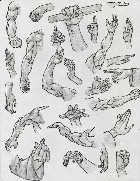 Arm Drawing, Drawing Body Poses, Human Anatomy Drawing, Hand Drawing Reference, Human Anatomy Art, Anatomy Sketches, Body Reference Drawing, Small Drawings, Anatomy Drawing