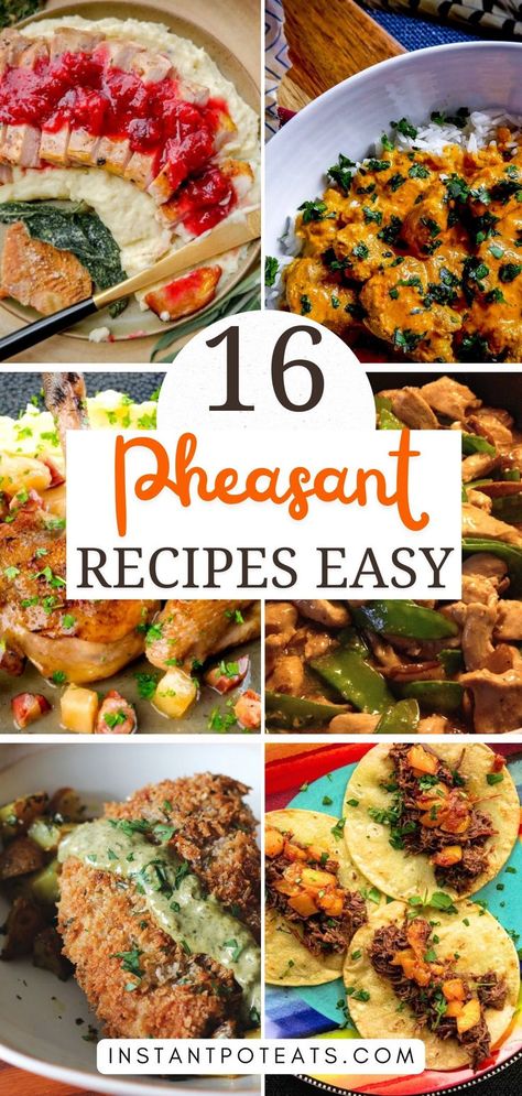 Looking for a new way to cook pheasant? These easy pheasant recipes are perfect for beginner chefs and seasoned cooks alike. From roasted pheasant to hearty stews, you'll love these simple and flavorful dishes! 🍽️🍗 #PheasantRecipes #EasyCooking #GameMeat Pheasant Recipes Easy, Pheasant Chili Recipes, Pheasant Leg Recipes, Bacon Wrapped Pheasant Recipes, Instant Pot Pheasant Recipes, Grilled Pheasant Recipes, Pheasant Appetizers, Crockpot Pheasant Recipes, Pheasant Recipes Crockpot