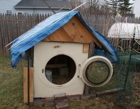 20 Green Ideas for Recycling Metal Barrels and Improving Functionality of Yard Landscaping Old Washing Machine, Bizarre Photos, Metal Barrel, Hen House, Ways To Recycle, Clothes Dryer, Chicken House, Wooden Pallets, Recycled Metal