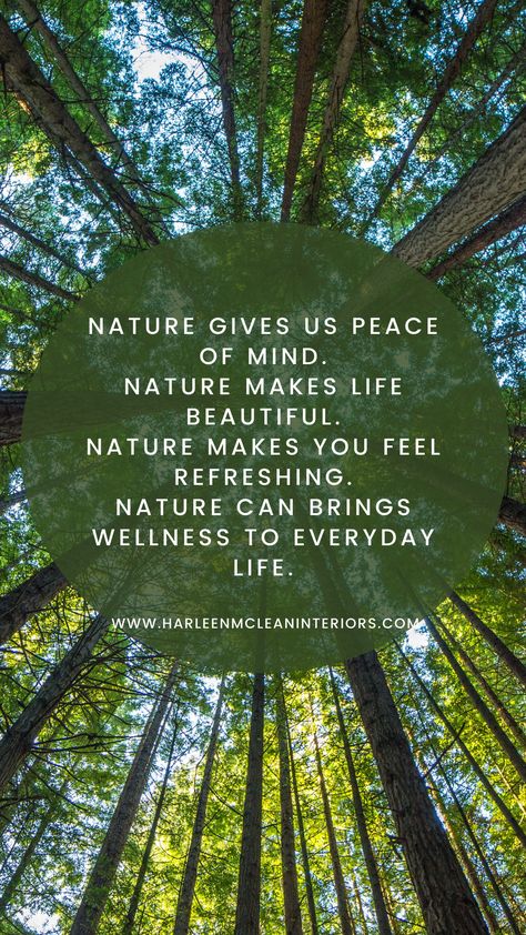 How can you say "NO" to the nature? - visit our website : www.harleenmcleaninteriors.com #biophilicdesign #designart #interiordesign #designinspiration #designdeinteriores #homedesign #naturephotography #nature_special_ #naturephotography Nature Lover Quotes Feelings, Nature Lover Quotes, Nature Quotes Inspirational, Buddha Quotes Life, Nature Meaning, Nature Words, Zen Quotes, Tip Jar, Kings Canyon National Park