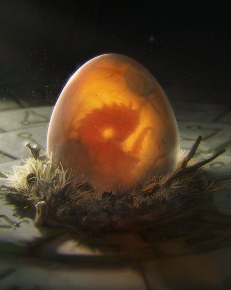 Medieval Aesthetic, Dragon Nest, My Fantasy World, Beautiful Dragon, Dragon Egg, Dragon Eye, Egg Art, Fantasy Dragon, High Fantasy