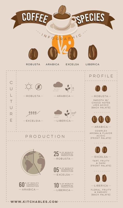 Coffee Infographic, Types Of Coffee, Coffee Icon, Coffee Guide, Coffee Facts, Espresso Drinks, Gourmet Coffee, Coffee Photography, Coffee Tasting