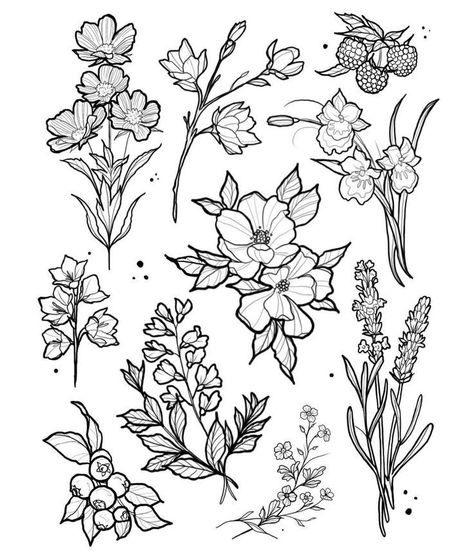 Flash Art Tattoos, Tattoo Outline Drawing, Flash Tattoo Designs, Tattoo Flash Sheet, Botanical Tattoo, Tattoo Portfolio, Ann Marie, Desenho Tattoo, Tattoo Flash Art