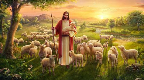 A Lost Sheep Has Returned to the Side of the ShepherdOctober 22,20170by Xinjing, MalaysiaEver since I have any memory, my parents have been doing odd jobs and worship in the temple. I once asked my mom, “What kind of god do you believe in?” She said, “I don’t know, yet I have to worship because this has been handed down through generations.” I thought: If she herself doesn’t know what she worships, what’s the meaning of her worship? Therefore, I think my mom is blindly worshiping. #Christian #Fa Wallpapers Jesus, Jesus Shepherd, The Lost Sheep, Devotional Reading, Ayat Alkitab, The Good Shepherd, Jesus Christus, The Son Of Man, The Shepherd