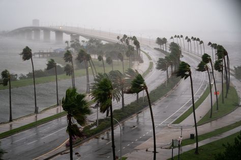 Hurricane Milton's landfall could be a first for Florida in 100 years Florida Storm, Weather Storm, Florida Weather, Florida City, Storm Surge, Drone Photos, Tampa Florida, Fort Myers, Extreme Weather