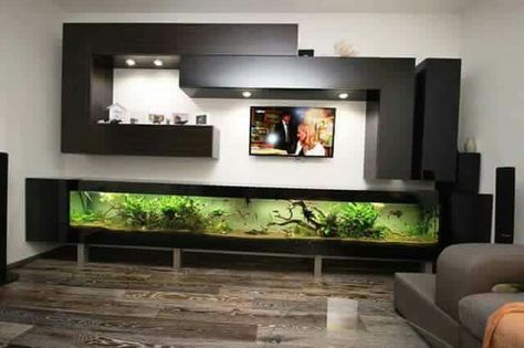 Nice Fish Tank Wall, Wall Aquarium, Kolam Koi, Fabric Room Dividers, Glass Room Divider, Fish Tank Design, Sliding Room Dividers, Living Room Divider, Wooden Room Dividers