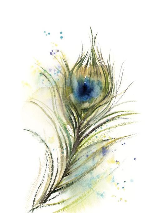 Buy Peacock feather n.2, Watercolor by Sophie Rodionov on Artfinder. Discover thousands of other original paintings, prints, sculptures and photography from independent artists. Sophie Rodionov, Feathers Watercolor, Watercolor Peacock, Cat Portrait Painting, Bird Watercolor Paintings, Owl Tattoo Design, Watercolor Feather, Custom Cat Portrait, Bird Watercolor