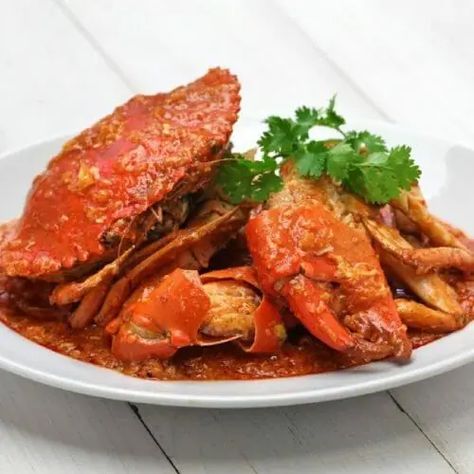 Chilli Crab Singapore, Chilli Crab Recipe, Steamed Fish Recipes, Chilli Crab, Chili Crab, Crab Recipe, Spicy Chilli, Crab Dishes, Shellfish Recipes