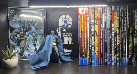 Comic Collection Display, Action Figure Shelf, Neon Lights Photography, Batman Book, Comic Room, Batman Halloween, Book Self, Saved Pictures, Geek Room