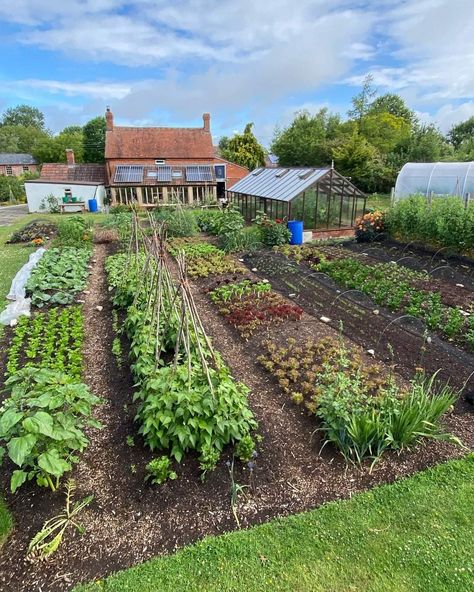 Large Garden Layout, In Ground Garden, Vegetable Gardening Ideas, Farm Landscaping, Abandoned Farmhouse, Garden Decoration Ideas, Gardening Design, Potager Garden, Backyard Vegetable Gardens