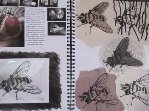 insects - sketchbooks Punk Academia, Drawing Medium, Sketchbook Layout, Textiles Sketchbook, Natural Form Art, Gcse Art Sketchbook, Insects Theme, A Level Art Sketchbook, Insect Art