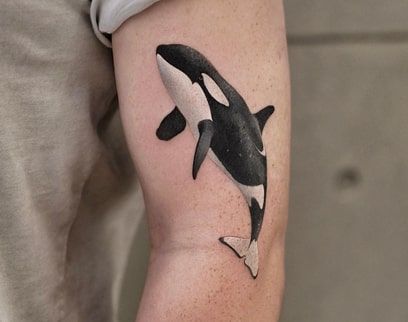 orca tattoo design idea 6 Orca Whale Tattoo Design, Orca Tattoo Men, Orca Tattoo Simple, Orca Tattoo Design, Orca Whale Tattoo, Killer Whale Tattoo, Orca Tattoo, Magnolia Tattoo, Whale Tattoos