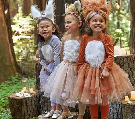 Woodland Princess Costume, Woodland Party Costume, Woodland Bunny Costume, Halloween Fox Costume, Teddy Bear Costume Diy, Woodland Creatures Costume, Woodland Family Costumes, Woodland Halloween Costumes, Diy Fox Costume For Kids