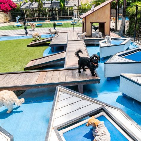 Paradise Ranch Pet Resort Dog Daycare Design Pet Resort, Dog Hotel Ideas Pet Resort, Doggie Playground, Dog Park Design, Dog Daycare Design, Dog Resort, Kennel Business, Outdoor Dog Area, Dog Boarding Ideas