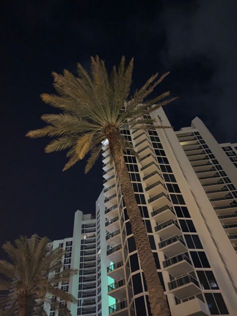 views from sunny isles beach, florida Sunny Isles Beach Florida, Sunny Isles Beach, Sunny Isles, Bar Mitzvah, Miami Florida, Beach Florida, Night Life, Miami, Florida