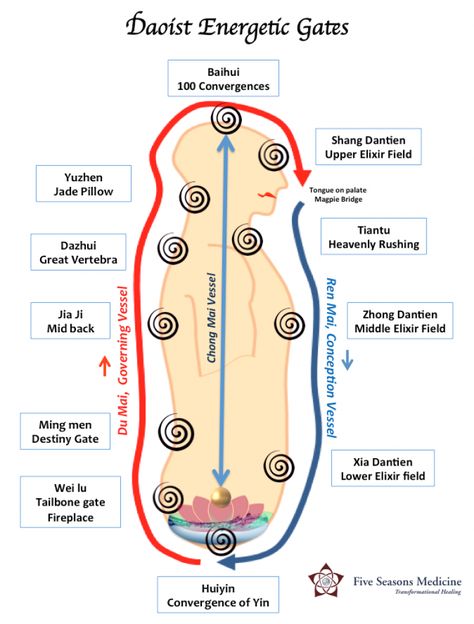 Introducing Five Seasons Medical Qigong Classes – Microcosmic Orbit, Nei Gong, Medical Qigong, Tantric Yoga, Polarity Therapy, Chi Gong, Body Clock, Chakra Health, Tai Chi Qigong