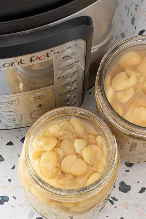 Dry Lima Beans Instant Pot, Instant Pot Butter Beans, Pressure Cooker Lima Beans, Lima Beans In Instant Pot, Lima Beans Instant Pot, Lima Bean Recipes Instant Pot, Dried Lima Beans Instant Pot, Large Lima Beans Instant Pot, Instapot Lima Beans Dry