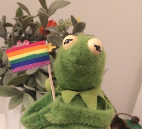 Sapo Kermit, Kermit Meme, Kermit Memes, Kermit Funny, Frog Meme, Gay Aesthetic, Gay Memes, Kermit The Frog, Rpg Characters