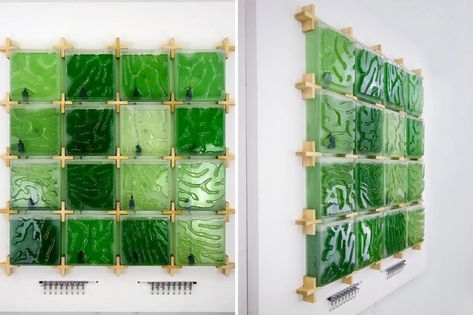 This indoor micro-algae farm mounts to any wall to grow the superfood right at home! | Yanko Design Surveillance Capitalism, Green Future, Solar Punk, Micro Farm, Farm Show, Ppt Background, Science Club, Farm Activities, Coral Pattern