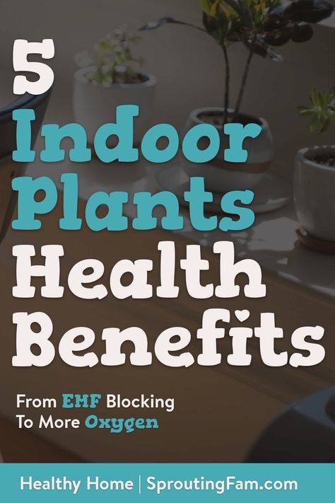 Benefits Of Having Plants In Your Home, Best Plants To Have In Your Home, Indoor Bedroom Plants, Purifying Plants Indoor, Benefits Of Indoor Plants, Natural Decongestant, Plant Jungle, Calming Environment, Remove Mold