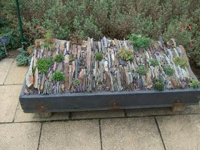 Alternative Eden: Alpine Troughs, Miniature Gardens Crevice Garden, Xeriscape Front Yard, Rockery Garden, Slate Garden, Alpine Garden, Miniature Gardens, Garden Images, Succulents In Containers, Garden Edging