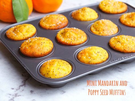 Mini Mandarin and Poppyseed Mini Muffins Mandarin Muffins Recipe, Fresh Mandarin Recipes, Canned Oranges Recipes, Mandarins Recipes, Mandarin Muffins, Mandarin Dessert, Mandarin Recipes, Assorted Muffins, Mandarine Recipes