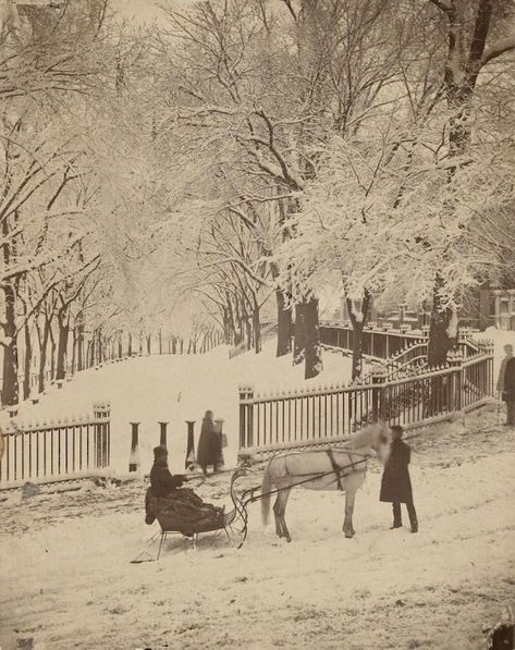 3. Winter by the Common, circa 1875, when horse-drawn sleighs apparently took to the streets of Boston. Boston History, Boston Common, Horse Drawn, Sleigh Ride, Snow Scenes, Winter Wonder, Winter Art, Vintage Winter, Cthulhu