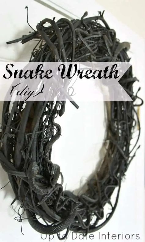 Snake Wreath, Ravens Wreath, Diy Snake, Stick Wreath, Diy Halloween Wreath, Dollar Store Halloween, Halloween Porch Decorations, Wreath Halloween, Black Spray Paint