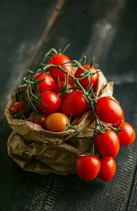 Tanaman Tomat, Italian Tomatoes, Vegetables Photography, Dark Food Photography, Food Art Photography, Fruits Photos, Fruit Wallpaper, Tortellini Soup, Fruit Photography