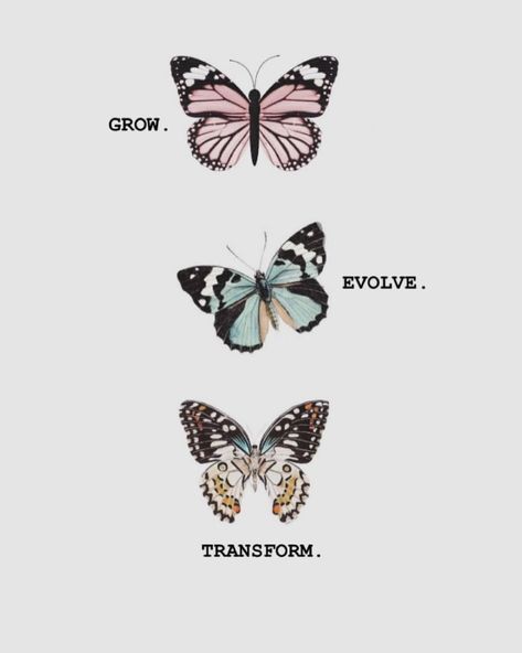 Grow...evolve....transform ✨🦋 #quotes #inspirationalquotes #quotesdaily #quoteoftheday #quotestoremember... Grow Evolve Transform, Evolve Quotes, Transformation Quotes, Butterfly Quotes, Hair Tattoos, Minimal Tattoo, Instagram Story Template, Lotus Flower Tattoo, Tattoos And Piercings