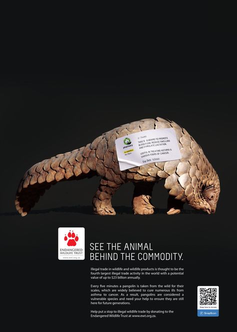 'See the animal behind the commodity' is new Endangered Wildlife Trust campaign Zoo Biscuits, Idea Prompts, Print Campaign, Land Animals, Endangered Wildlife, Animal Activism, Animal Conservation, Awareness Poster, Animal Adoption